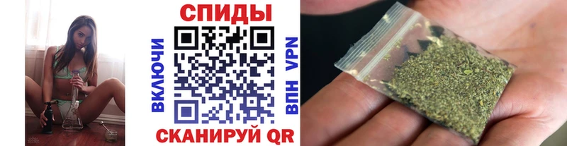 Купить  Приозерск  БУТИРАТ буратино 