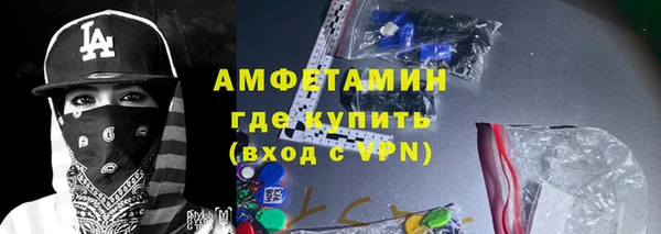 гидра Богородицк