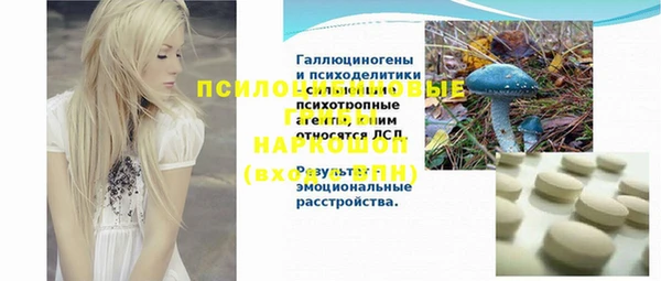 ПСИЛОЦИБИНОВЫЕ ГРИБЫ Богородск