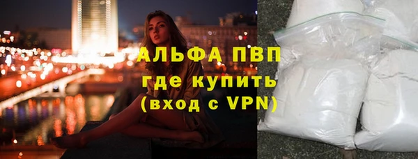 гидра Богородицк