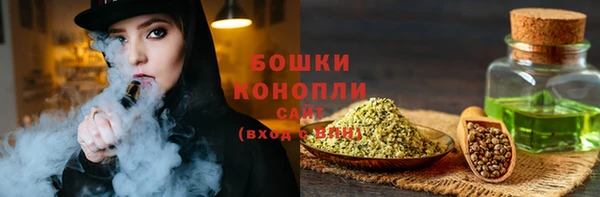 гидра Богородицк