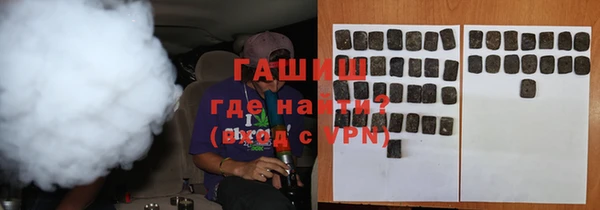 гидра Богородицк