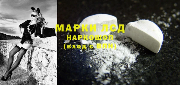 гидра Богородицк