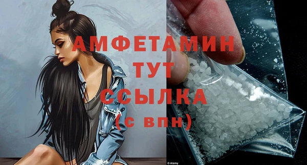 гидра Богородицк