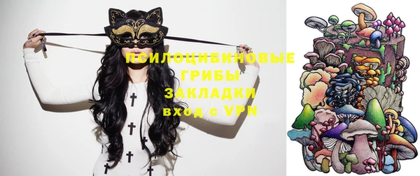 крисы Богданович